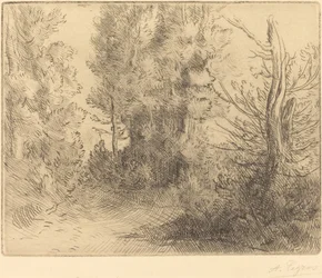 Landschaft: In der Nähe von Chailleux