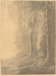 Landschaft