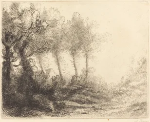 Landschaft Paysage
