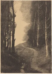 Landschaft mit Birken