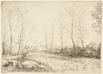 Die Birken