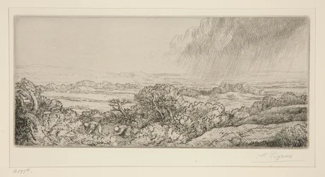 Les Rammasseurs de Champignons