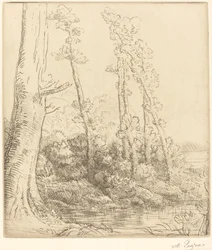 Kleiner Teich (La petite mare)