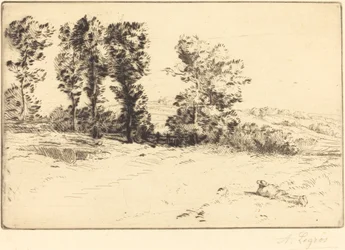 Wiese im Sonnenschein Le pré ensoleillé