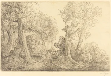 Nahe dem Wald, Veronne
