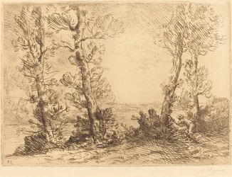 Lachsangler (Le pêcheur du saumon)