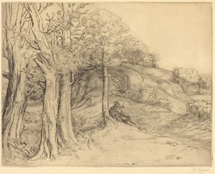 Einsamkeit (Landschaft)