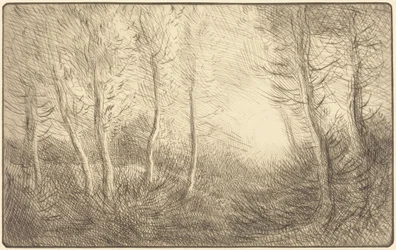 Sonnenaufgang, Wald von Clamart