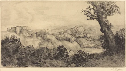 Oben auf dem Hügel