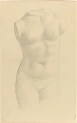 Torso