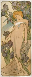 Schwertlilien, 1898