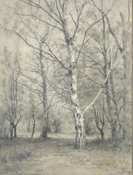 Wald mit Birken