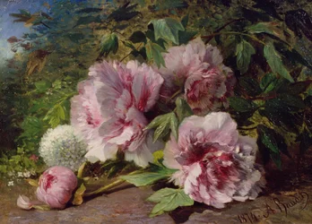 Studie von Pfingstrosen, 1874