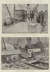 Von der Themse nach Sibirien, Reise der Biscaya