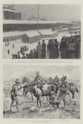 Der Krieg im Transvaal