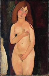 Venus oder Stehender Akt oder Akt Medici