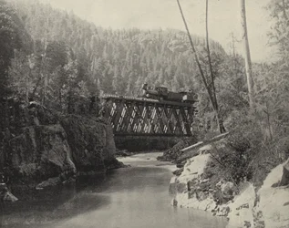 Brücke im Animas Canyon, Colorado