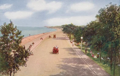 Chicago: Lake Shore Drive, Chicago