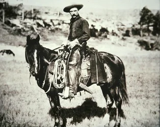Cowboy-Trailboss in Montana