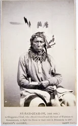 NE-BAH-QUAH-OM, Großer Hund, Chippewa-Häuptling, bot an, in Minnesota gegen die Sioux zu kämpfen