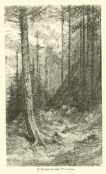 Eine Schlucht in den Pyrenäen