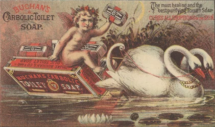 Werbung für Buchans Carbolic Toilet Soap, ca. 1880