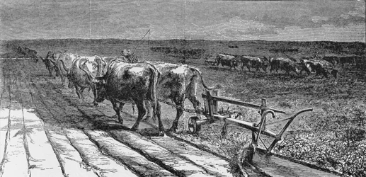 Das Brechen der Prärie, Illustration aus 