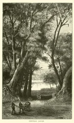 Zentraljapan