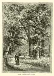 Tiergarten, Stockholm