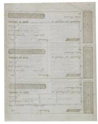 Dixie, gedruckt auf der Rückseite eines Schecks, 1861