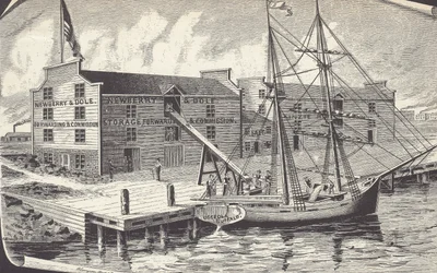 Erste Weizenlieferung aus dem Lagerhaus in Chicago, Newberry & Dole