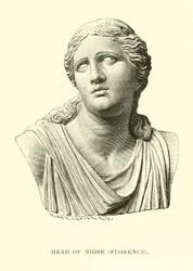Kopf der Niobe, Florenz