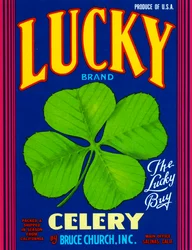 Lucky Brand Sellerie Fruchtkistenetikett, ca. 1920