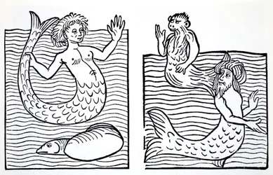 Meerjungfrauen und Meermänner, aus Der Weltführer zu Gnomen, Feen, Elfen und anderen kleinen Leuten von Thomas Keightley (1789-1872) veröffentlicht 1880
