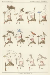 Oglala-Unterhäuptlinge