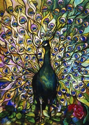 Pfau