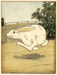 Peter hörte nie auf zu rennen, aus Die Geschichte von Peter Hase