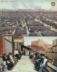 Postkarte, die die Viehhöfe und Schlachthöfe von Chicago und Arbeiter mit Mittagspausen zeigt, um 1910