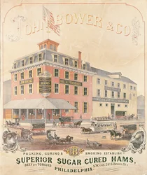 Plakat, das John Bower & Co. Superior Sugar Cured Hams bewirbt