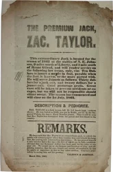 Verhandlungen und Ansprache der Verfassungskonvention, ca. 19. März 1861