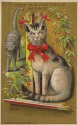 Stolze lächelnde Katze