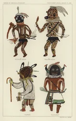 Puukon Hoya, Paluna Hoya, Tcanau, Tuckubot