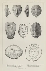 Das menschliche Gesicht