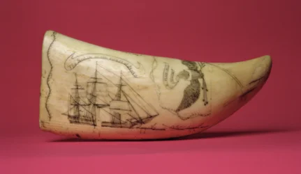 Die Susan an der Küste Japans, Scrimshaw (Zahn)