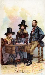 Walisische Familie um eine Singer-Nähmaschine, ca. 1893