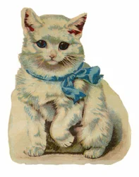 Weiße Katze trägt blaue Schleife