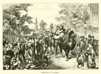 Zoologischer Garten