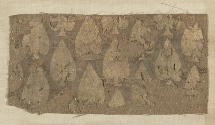 Fragment