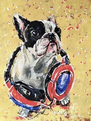 Französische Bulldogge mit Kopfhörern