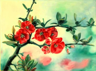 Frühlingsrote Blüten